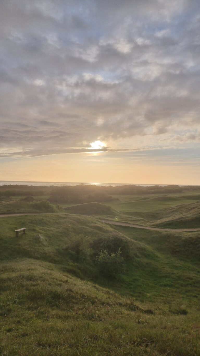 Sunset over grassy coastal dunes with a bench in the foreground and the sea on the horizon.