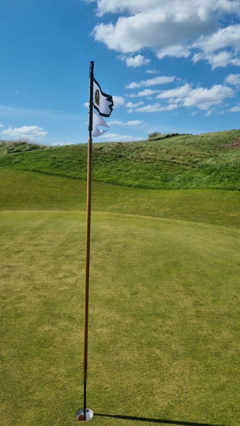 Golf flagstick with hole cup on a grassy green, blue sky with white clouds in the background.
