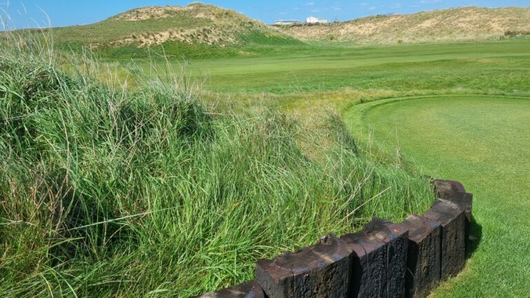 Dune grass and green fairway on a sunny coastal golf course with a wooden barrier in the foreground