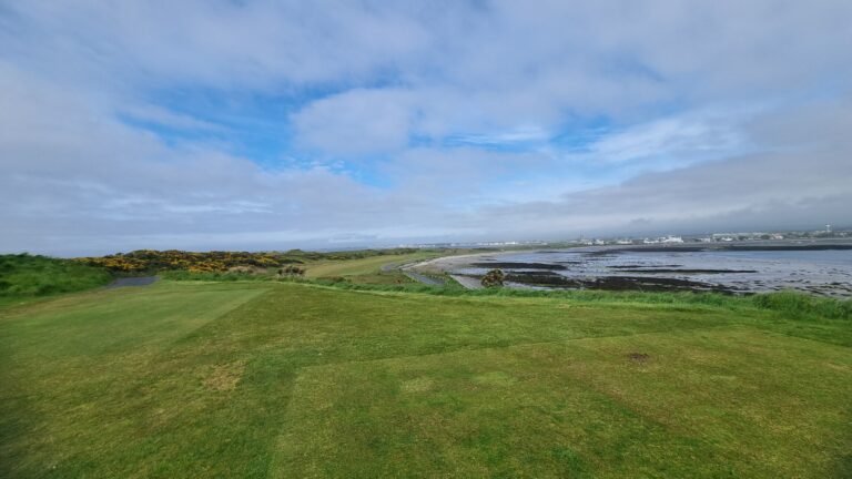 Coastal landscape with green rolling grass, a winding path, and a distant town along the shoreline beneath a partly cloudy blue sky
