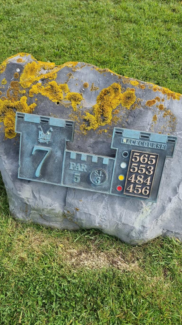 Blue-green mini-golf score board carved into a rock, displaying scores (565, 553, 484, 456) with a par 5 hole and color dots, yellow lichen on the rock edge