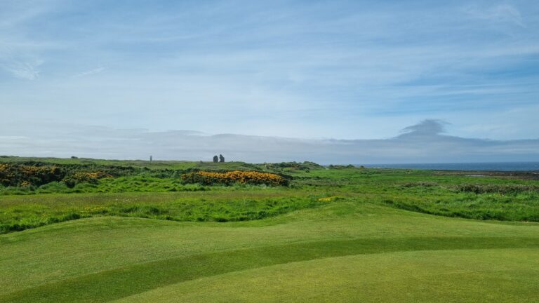 Wide coastal meadow under blue sky with yellow-flowering shrubs; two dark standing stones visible in the distance near the horizon.