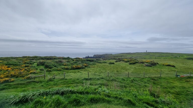 Coastal hillside with green grass and yellow flowers, a wooden fence in the foreground and a cloudy sky over the sea in the distance.