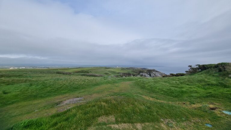 Coastal meadow with green grass, a dirt path, rocky shore in the distance and gray cloudy sky above the sea edge.