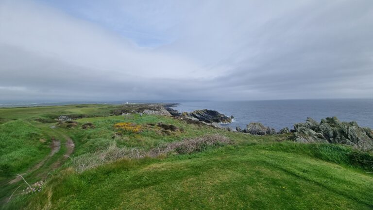 Grassy coastal path leading to rocky shoreline and calm sea under a cloudy sky.