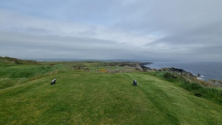 Coastal grassy field leading to a rocky shoreline and calm sea under a cloudy sky at dusk or overcast morning.