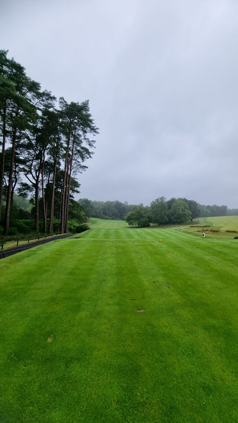 Wide golf fairway bordered by tall pine trees on the left under a cloudy sky.