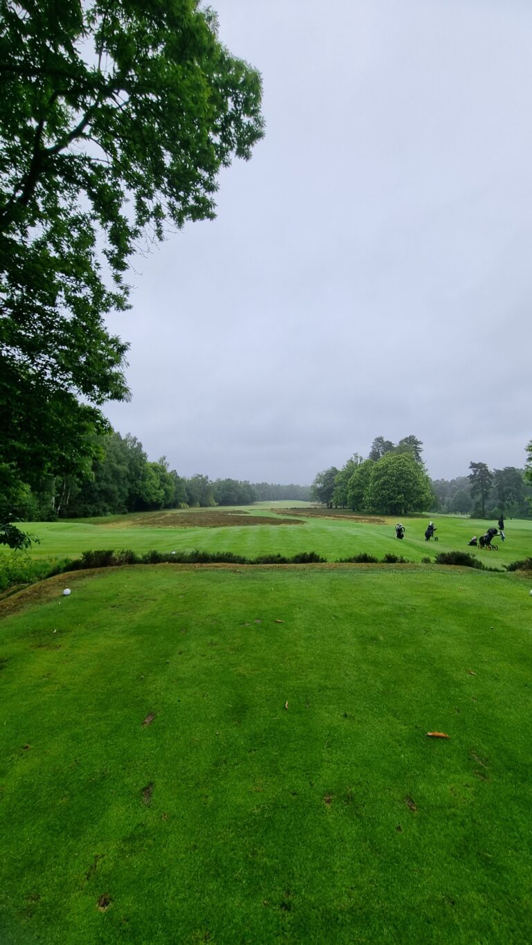 Golf course with green fairway, tall trees on the left, and golfers with carts in the distance under a cloudy sky