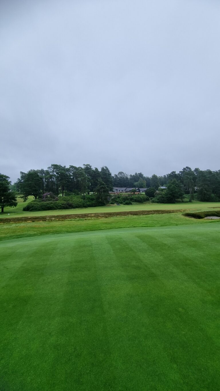 Well-manicured golf course green with trees and a cluster of buildings in the distance under a gray sky.