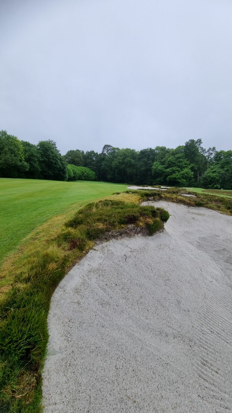 A golf bunker with white sand and surrounding low shrubs, green fairway on the left, trees in the background under a cloudy sky.