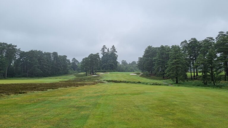 Overcast golf course scene with a wide green fairway, sandy bunkers, and tall trees lining the edges.