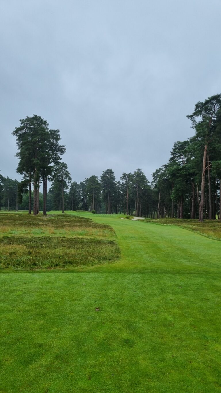 Golf course fairway lined with tall pine trees under a cloudy sky.