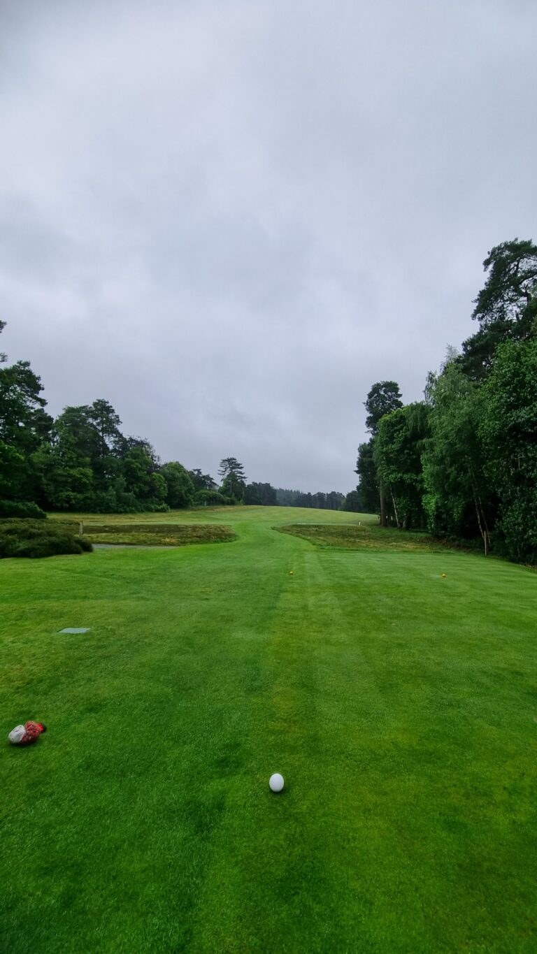 Golf tee on a lush green fairway bordered by trees under a cloudy sky.