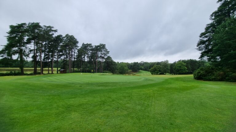 Green golf course with a flagstick near the hole, tall trees along the edge, and a cloudy sky above.