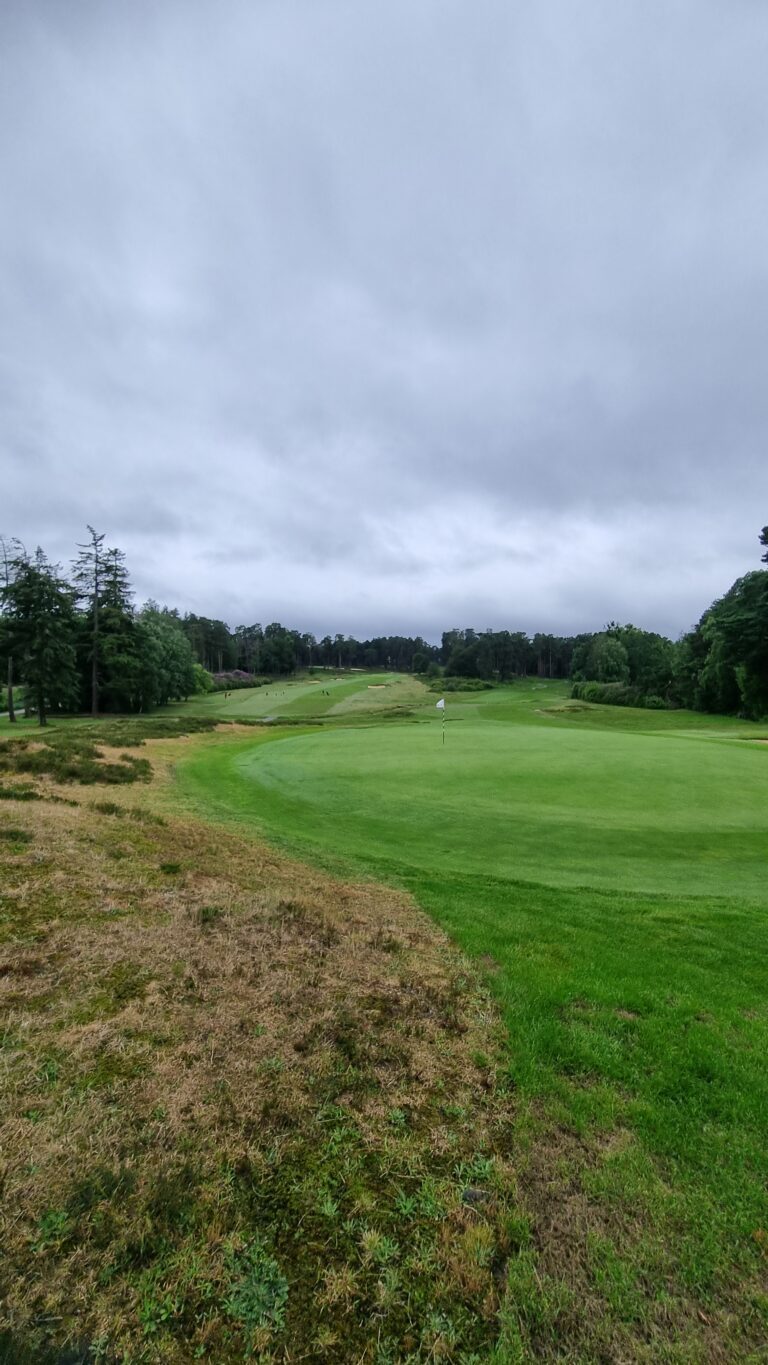 Overcast golf course with a green fairway, flagstick near the center, and trees lining the edges under gray skies