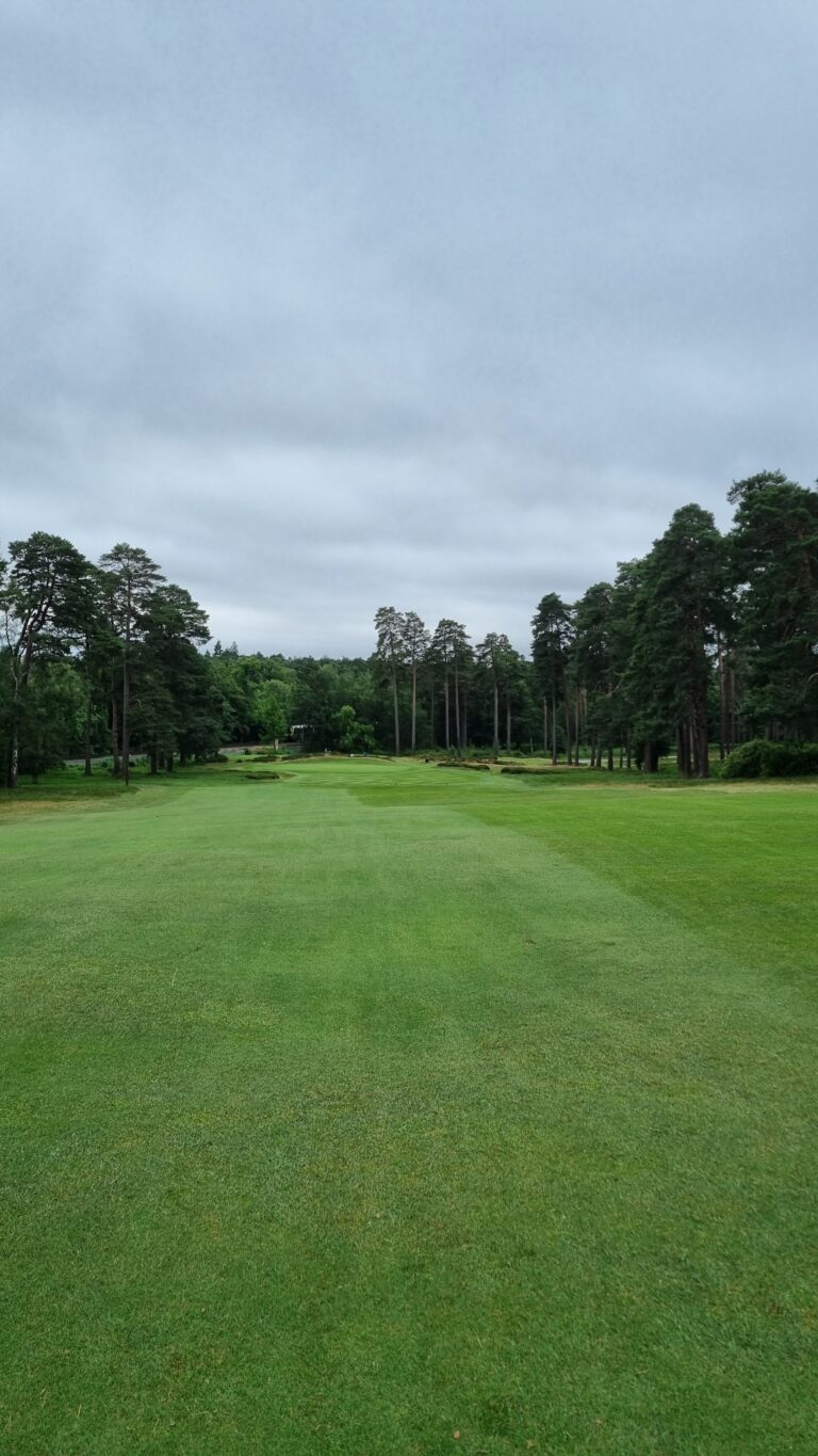 Wide green golf fairway lined with tall trees under a cloudy sky.