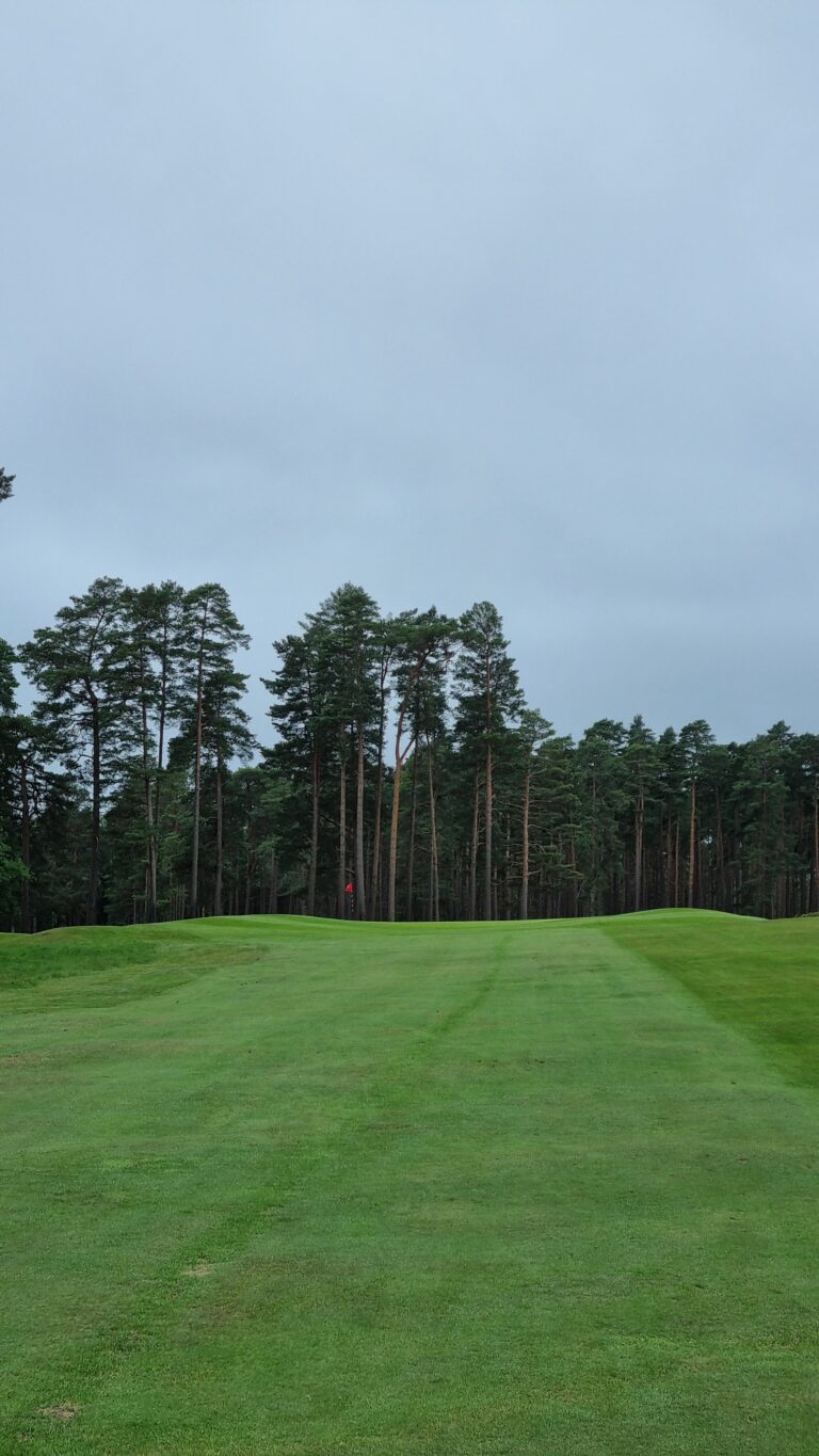 Golf green with a red flagstick, bordered by tall pine trees under a pale blue sky.