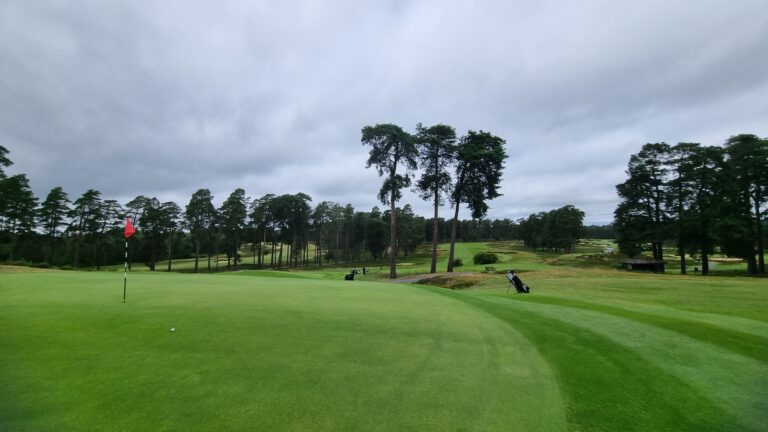 Green golf hole with a red flag on a flagstick, surrounded by trees under a cloudy sky.