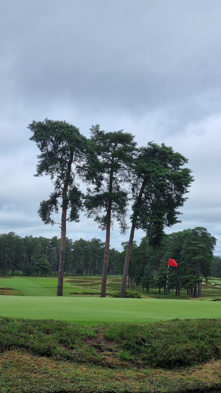 Golf course green with a cluster of tall trees and a red flag on the hole in the distance under a cloudy sky, grassy foreground.