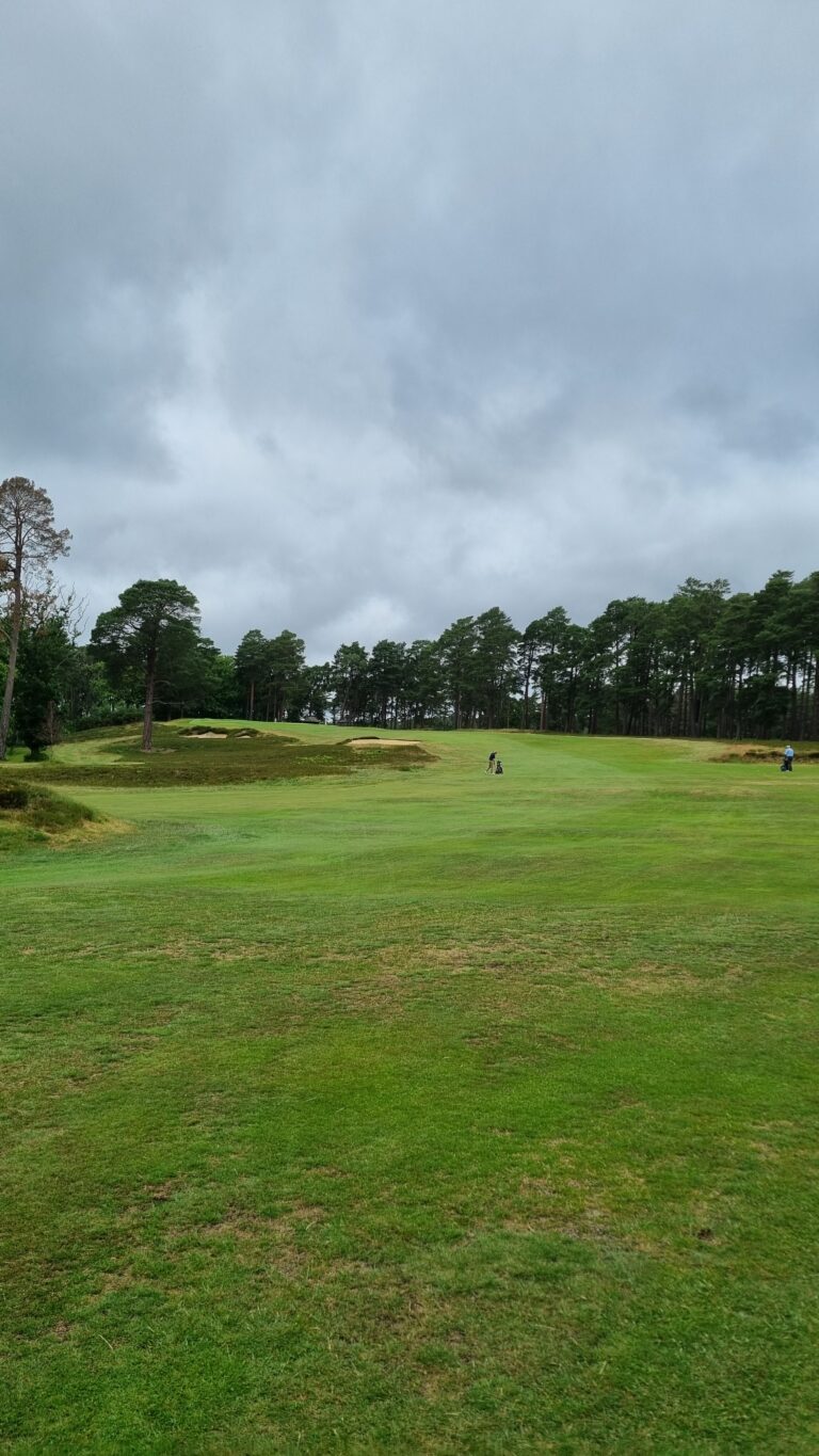 Expansive green golf course under a gray, cloudy sky with a few golfers in the distance and a tree line at the edge.