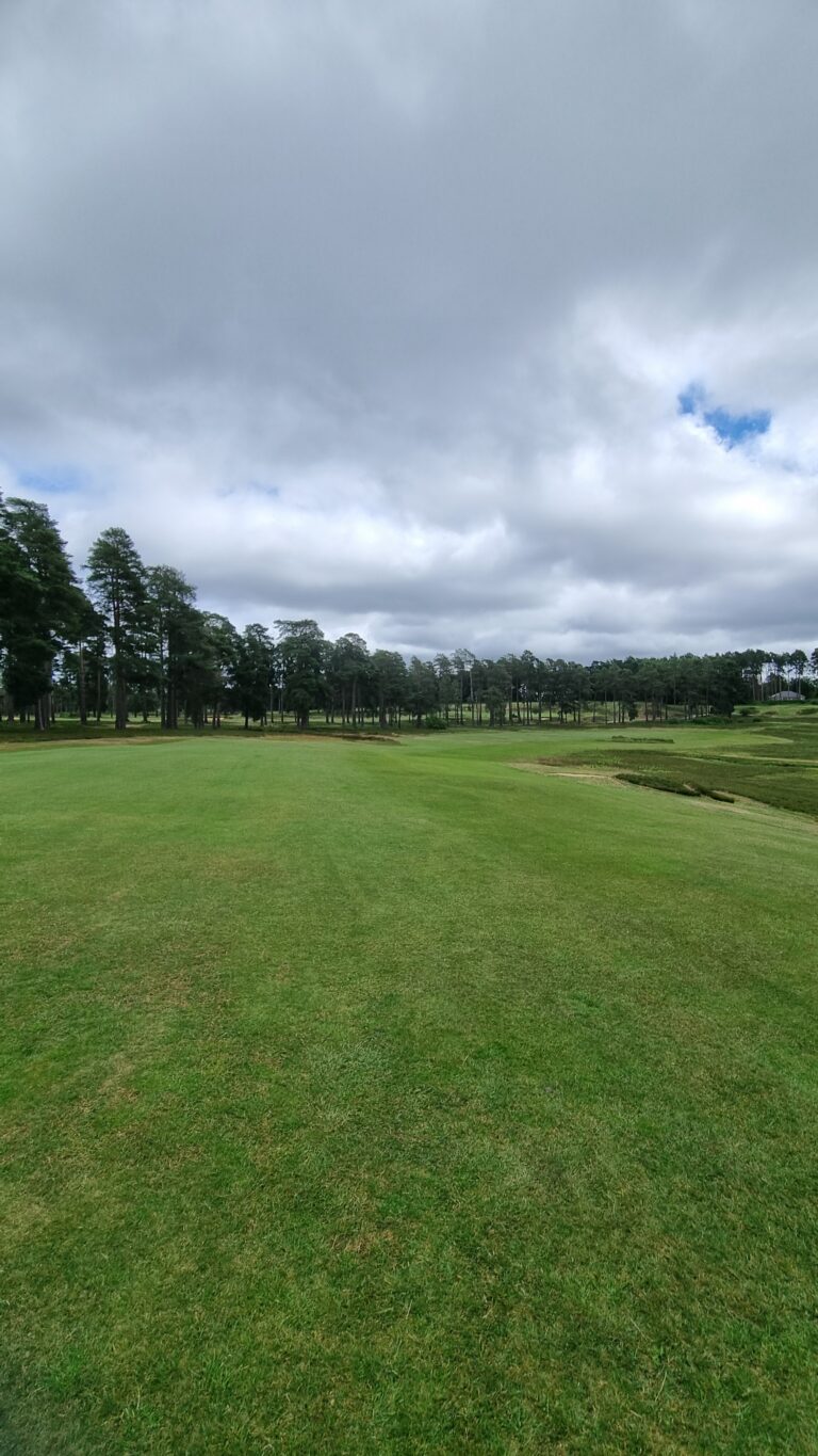 Open grassy golf fairway with scattered trees along the edge and a cloudy sky at the horizon while approaching the tree line.
