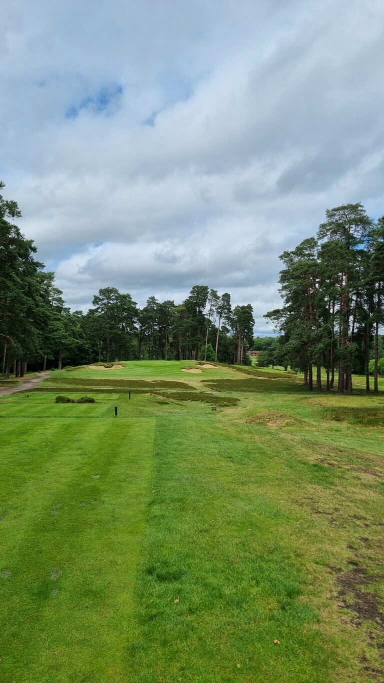 Golf course fairway with green, sand bunkers, and tall pine trees under a cloudy sky.