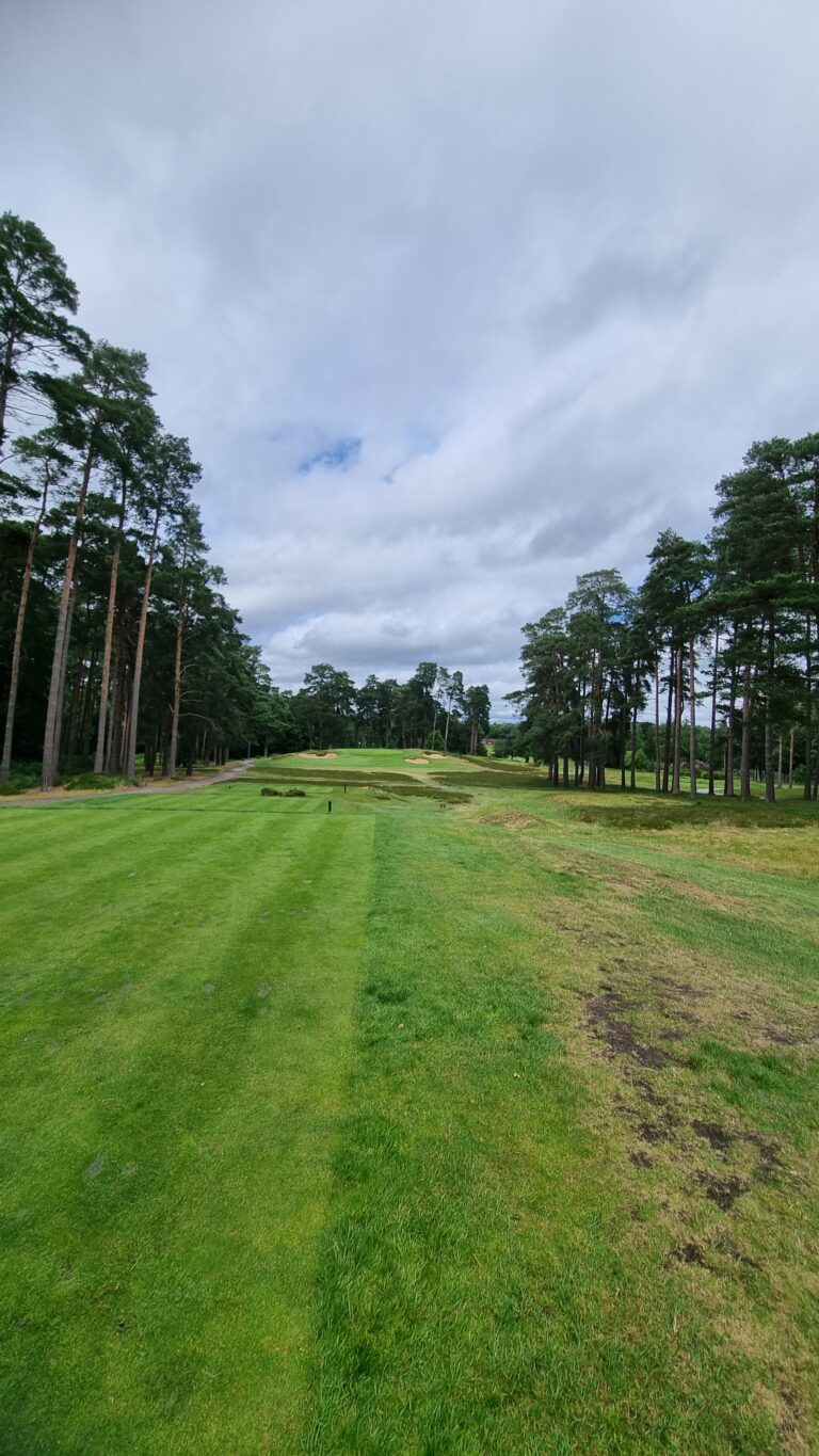 Golf course fairway with green grass, lined by tall pine trees on both sides under a cloudy sky.